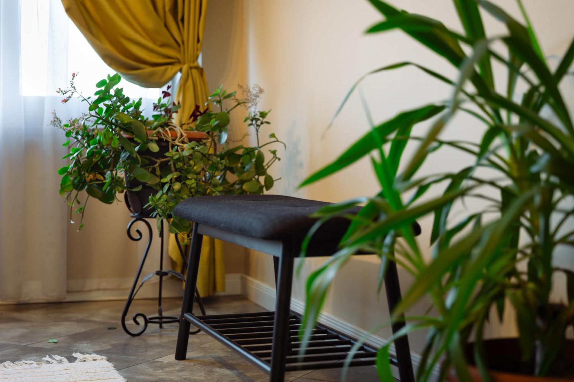 Dervent Apartment Veliko Tarnovo Exterior photo